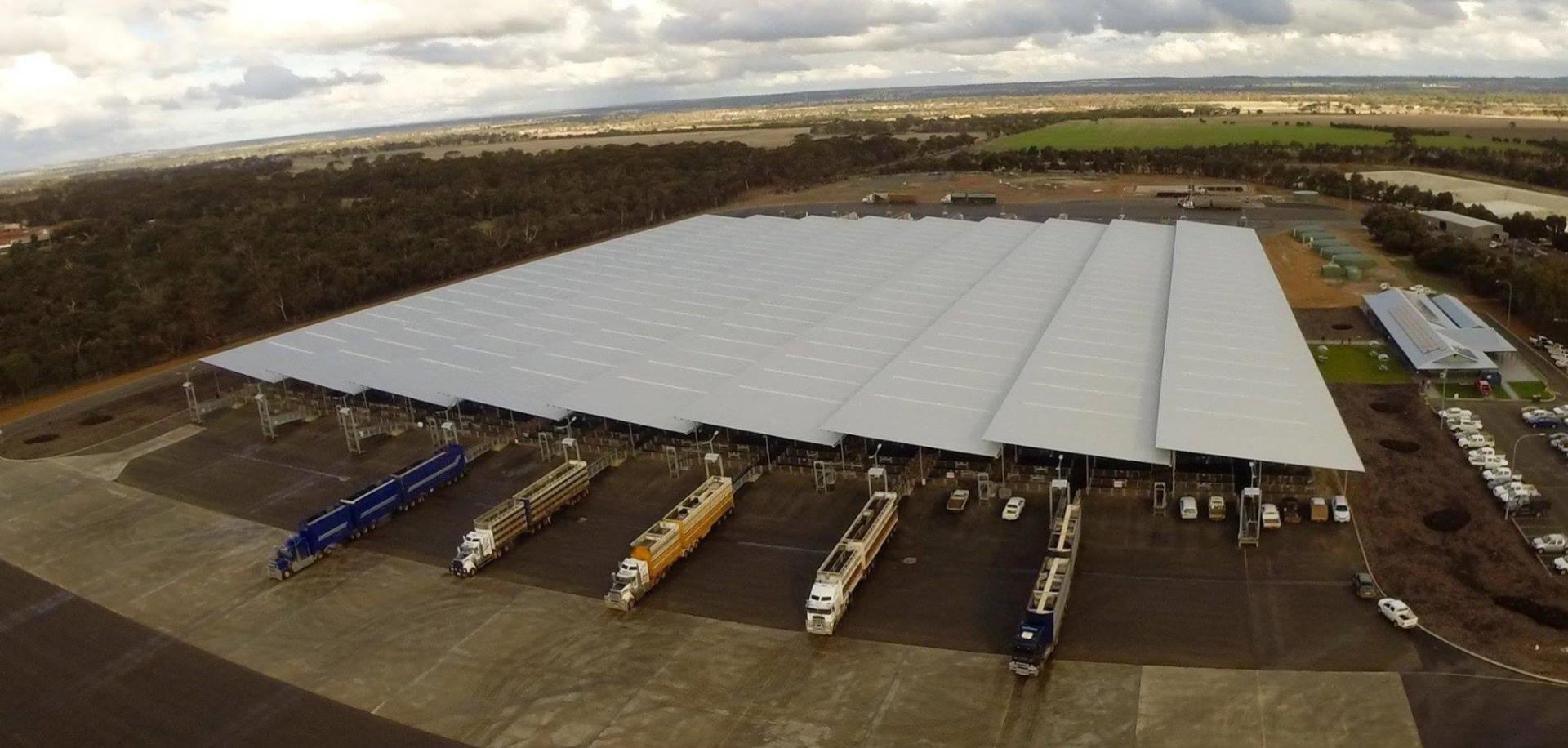 Saleyards Facility Image