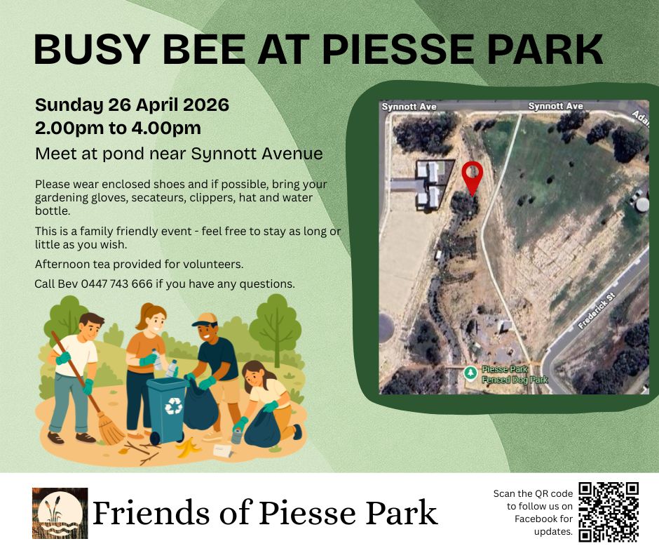 Busy Bee at Piesse Park